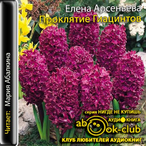 Алена Дмитриева 20, Проклятие Гиацинтов...