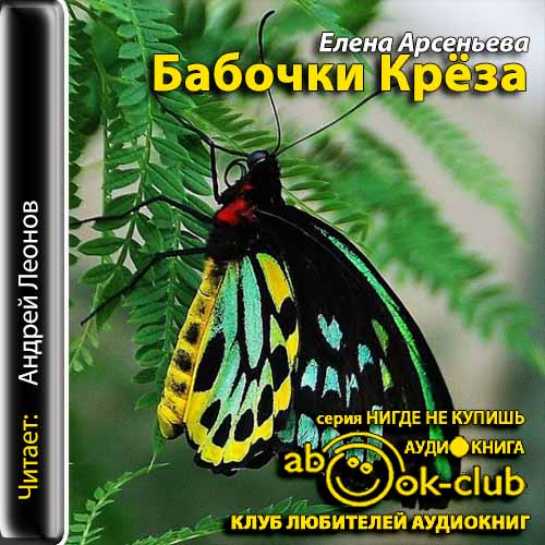 Алена Дмитриева 13, Бабочки Крёза