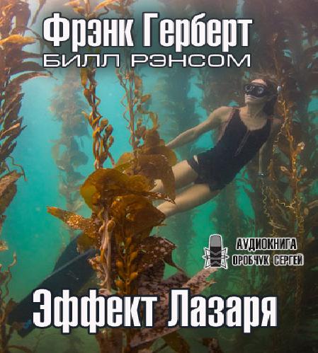 Год выпуска