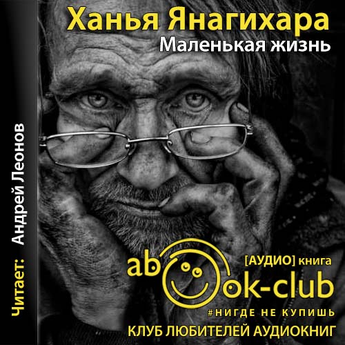 Аудиокнига Маленькая жизнь