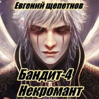 Аудиокнига Пётр Синельников 4, Бандит 4. Некромант