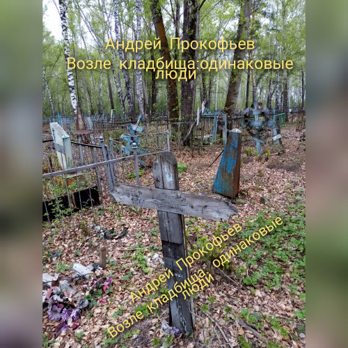 Аудиокнига Прокоп А.А. Возле кладбища