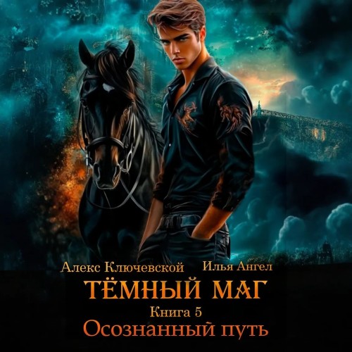 Тёмный маг. Книга 5. Осознанный путь
