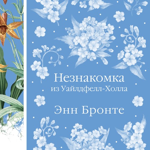 Энн Бронте