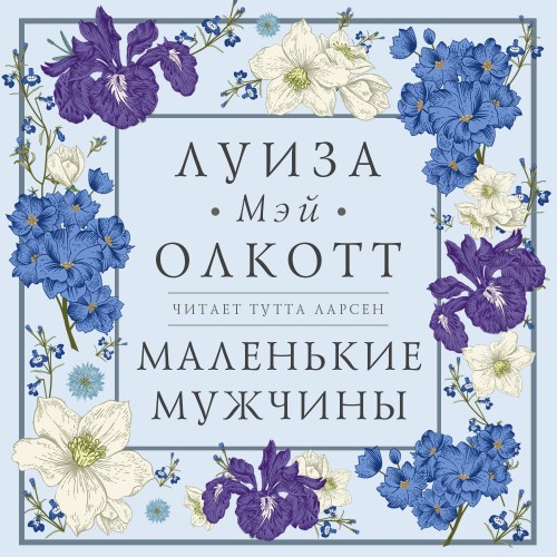 Аудиокнига Маленькие мужчины