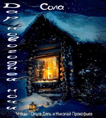 Дар новогодней ночи