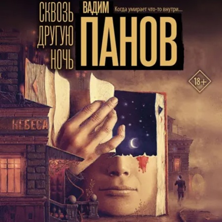 Аудиокнига Сквозь другую ночь