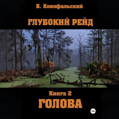 Глубокий рейд, книга 2 Голова