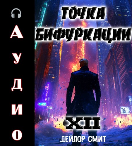 слушать аудиокнигу Точка Бифуркации 12