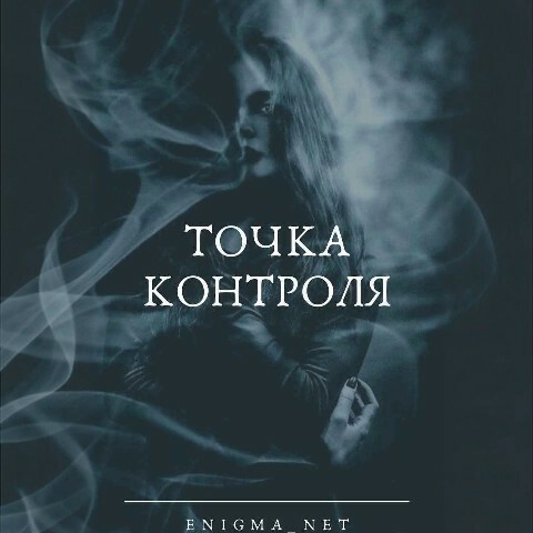 слушать аудиокнигу Точка контроля