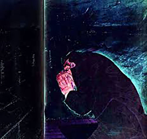 слушать аудиокнигу Крик в ночи