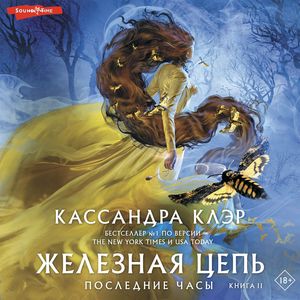 слушать аудиокнигу Железная цепь