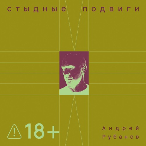 слушать аудиокнигу Стыдные подвиги