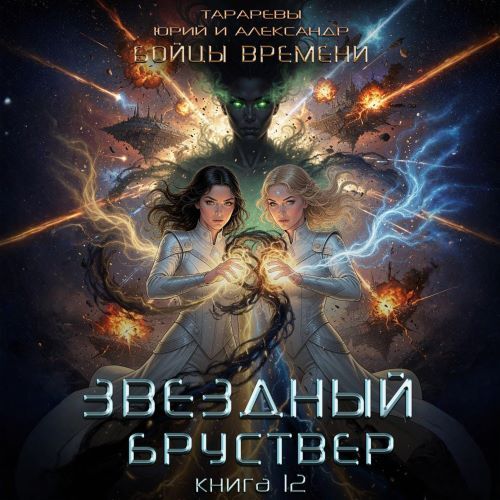 Бойцы времени. Книга 5